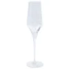 Contessa Champagne Glass