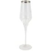 Contessa Platinum Champagne Glass
