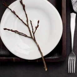 Forma Cloud Dinner Plate 6 Forma Cloud Dinner Plate -Kitchen Supply Store FOM 1100CL LSALT 1 1800x1800