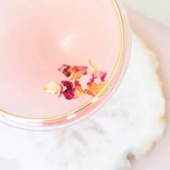 Rainbow Coupe Champagne Glass -Kitchen Supply Store VBOW P52151 LSALT 2 1800x1800